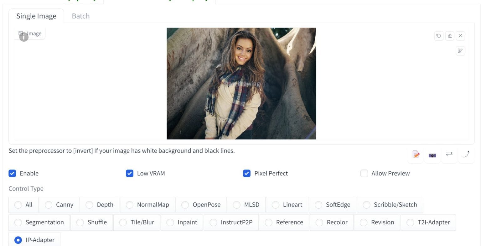 【Stable Diffusion】「IP-Adapter」の使い方！元画像から類似の画像を生成する方法 - イクログ
